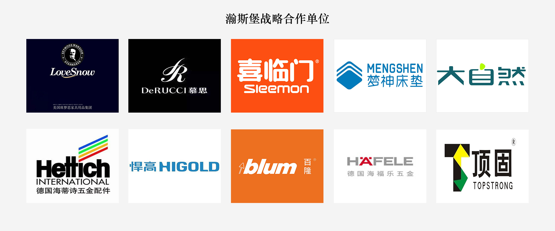 瀚斯堡戰(zhàn)略合作單位（端）